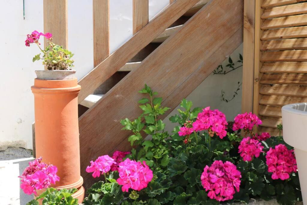 Apartmán Beau T3 *** Pour 2 A 4 Pers Avec Patio Privatif La Couarde-sur-Mer Exteriér fotografie